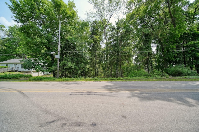 311 Rosehill Rd, Jackson, MI 49202 - view of asphalt road