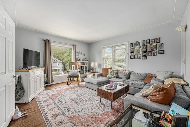 510 Woodlawn St SE, Grand Rapids, MI 49507 - living area featuring healthy amount of natural light and wood finished floors