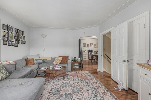 510 Woodlawn St SE, Grand Rapids, MI 49507 - living room with dark wood-style flooring and arched walkways