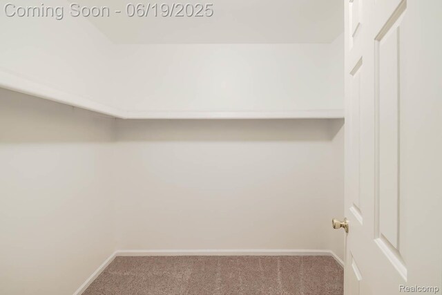 43221 Pointe Dr Unit 57, Clinton Township, MI 48038 - spacious closet with carpet flooring