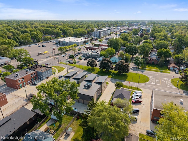 1711 Livernois St Unit 7, Ferndale, MI 48220 - aerial view