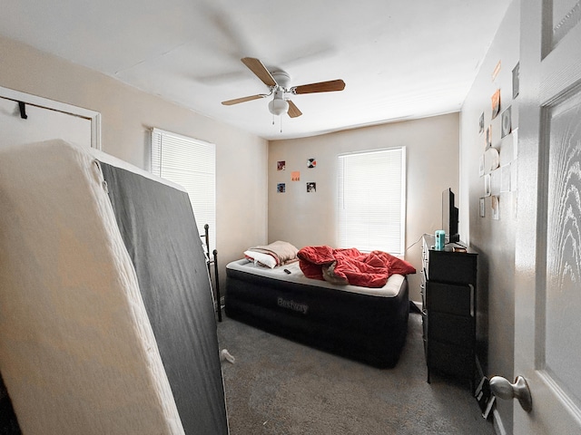 19549 Melrose Ave, Southfield, MI 48075 - bedroom featuring multiple windows, carpet flooring, and ceiling fan