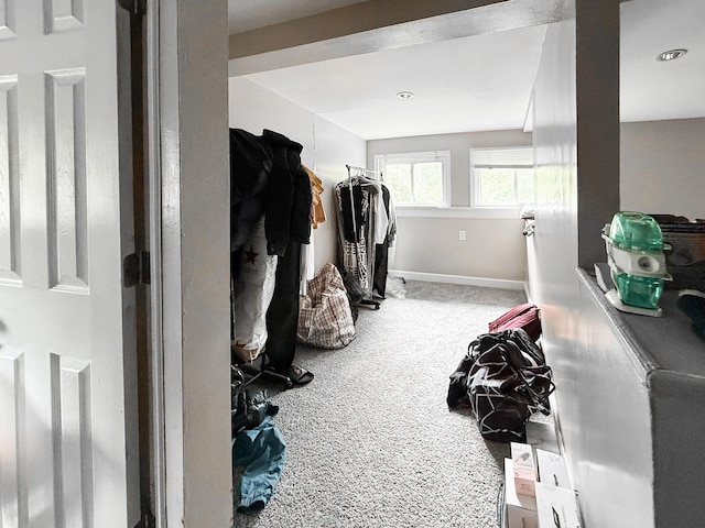 19549 Melrose Ave, Southfield, MI 48075 - washroom with carpet flooring