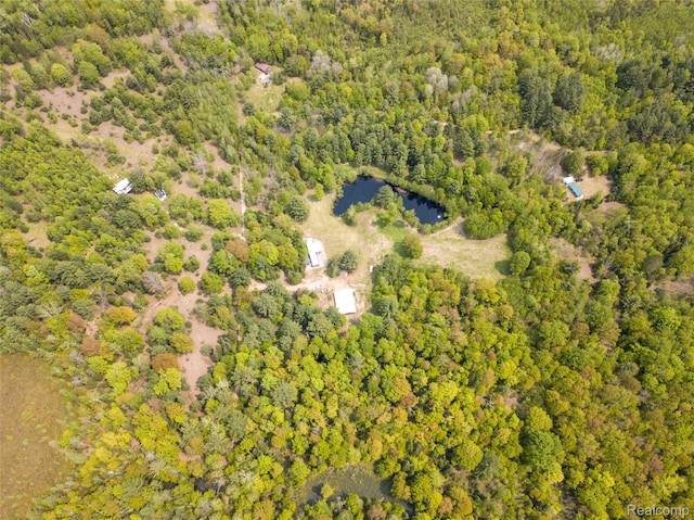 5960 N Trail SE, Kalkaska, MI 49646 - photo 1