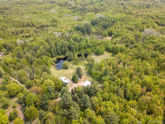 5960 N Trail SE, Kalkaska, MI 49646 - photo 2
