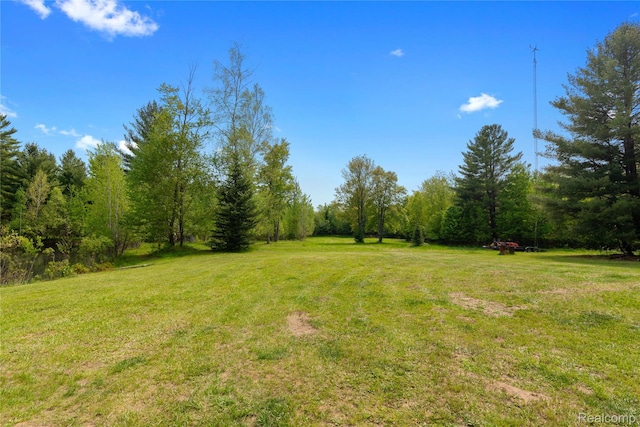 5960 N Trail SE, Kalkaska, MI 49646 - photo 7