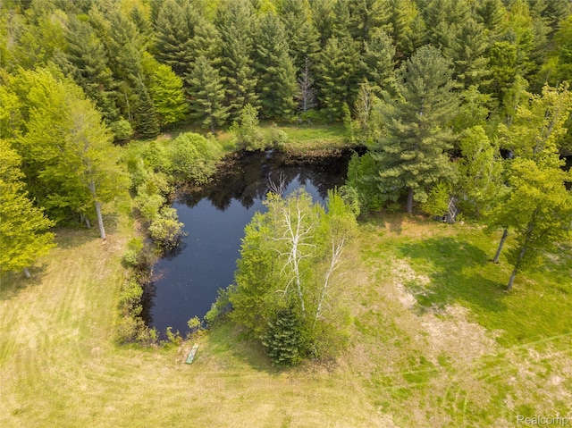 5960 N Trail SE, Kalkaska, MI 49646 - photo 9