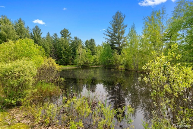 5960 N Trail SE, Kalkaska, MI 49646 - photo 8