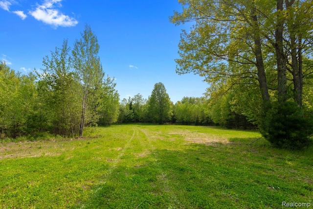 5960 N Trail SE, Kalkaska, MI 49646 - photo 35