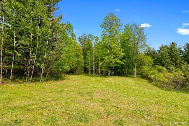5960 N Trail SE, Kalkaska, MI 49646 - photo 33