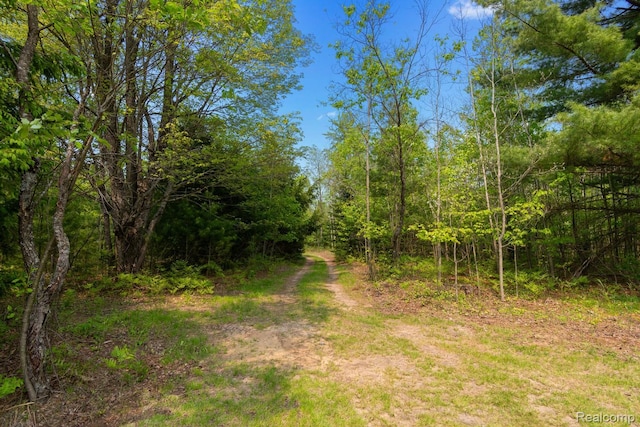 5960 N Trail SE, Kalkaska, MI 49646 - photo 34