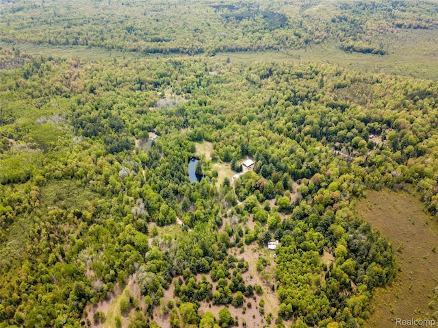 5960 N Trail SE, Kalkaska, MI 49646 - photo 43