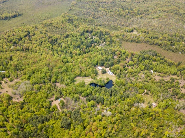 5960 N Trail SE, Kalkaska, MI 49646 - photo 41