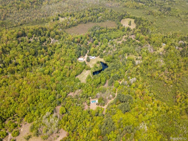 5960 N Trail SE, Kalkaska, MI 49646 - photo 40