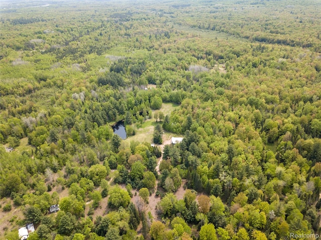 5960 N Trail SE, Kalkaska, MI 49646 - photo 47