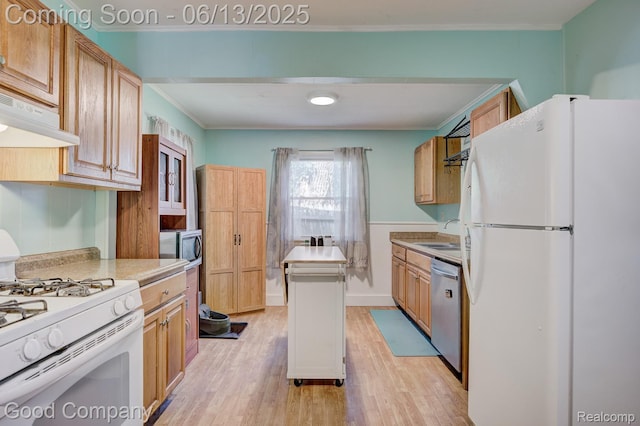 585 Roth Blvd, Clawson, MI 48017 - kitchen featuring appliances with stainless steel finishes, ornamental molding, light wood-type flooring, under cabinet range hood, and light countertops