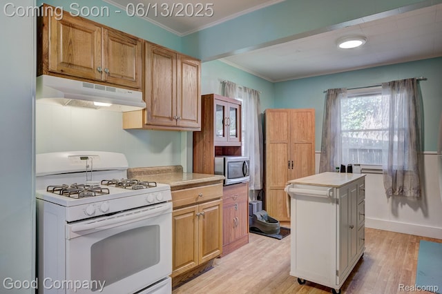 585 Roth Blvd, Clawson, MI 48017 - kitchen featuring white gas stove, under cabinet range hood, stainless steel microwave, light wood-style floors, and ornamental molding