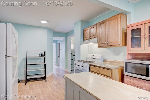 585 Roth Blvd, Clawson, MI 48017 - kitchen featuring white appliances, under cabinet range hood, light countertops, light wood finished floors, and light brown cabinetry