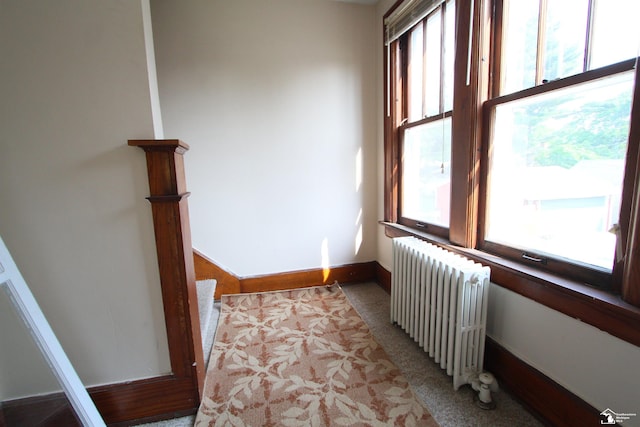 624 Waterloo Ave, Monroe, MI 48161 - corridor with radiator and baseboards