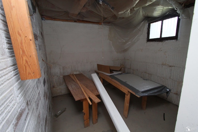 624 Waterloo Ave, Monroe, MI 48161 - view of basement