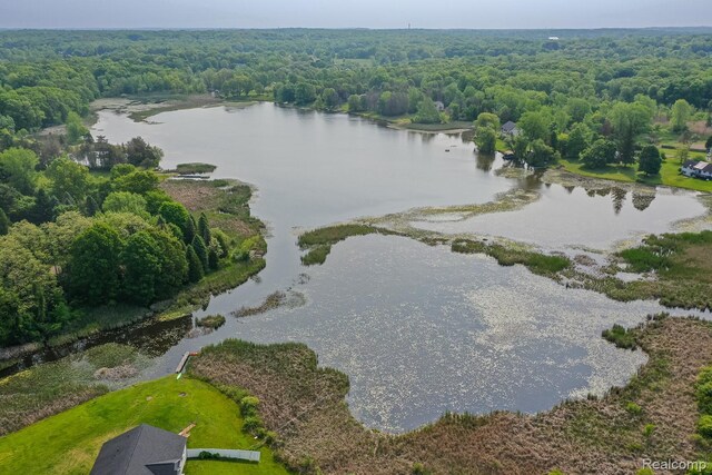 2475 S Ortonville Rd S, Ortonville, MI 48462 - drone / aerial view of a forest and a nearby body of water