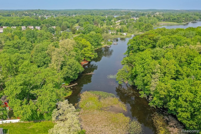 2475 S Ortonville Rd S, Ortonville, MI 48462 - bird's eye view of a forest and a large body of water