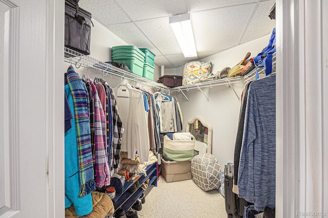 7374 Cross Creek Dr, Swartz Creek, MI 48473 - spacious closet featuring carpet flooring and a paneled ceiling