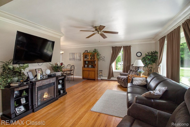 38 Meadowview Dr, Howell, MI 48843 - living area with a baseboard radiator, ceiling fan, crown molding, light wood finished floors, and baseboards