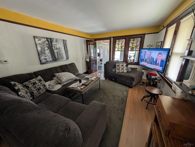 307 Aplin St, Bay City, MI 48706 - living area with wood finished floors