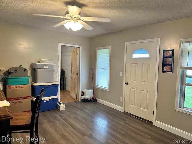 1286 Elmer Rd, Sandusky, MI 48471 - entryway with ceiling fan, dark wood finished floors, a textured ceiling, and baseboards