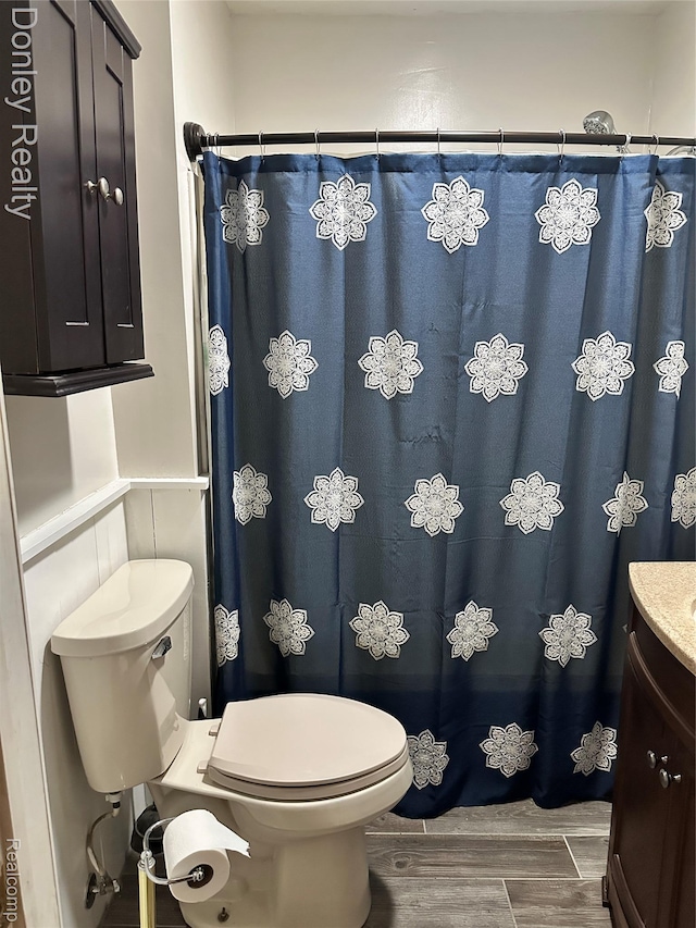 1286 Elmer Rd, Sandusky, MI 48471 - bathroom featuring toilet, vanity, wood finished floors, and a shower with curtain