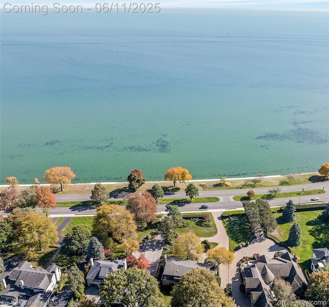 561 Lake Shore Rd, Grosse Pointe Shores, MI 48236 - bird's eye view of a nearby body of water