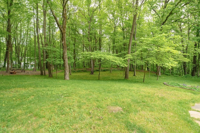 2755 N 9th St, Kalamazoo, MI 49009 - view of grassy yard