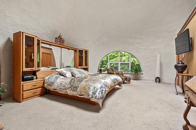 2755 N 9th St, Kalamazoo, MI 49009 - carpeted bedroom featuring a textured wall
