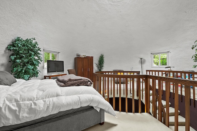 2755 N 9th St, Kalamazoo, MI 49009 - bedroom with a textured wall, multiple windows, and carpet flooring