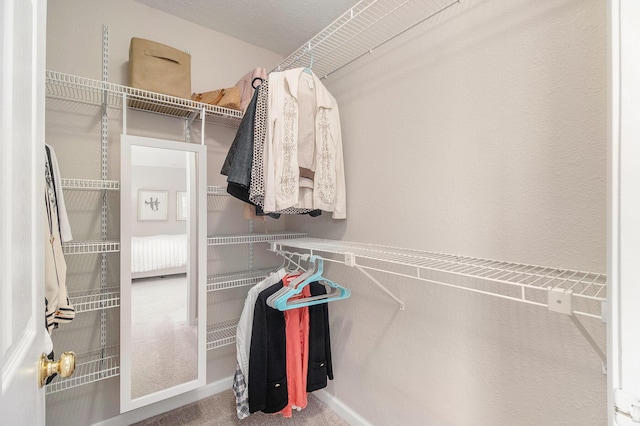 1599 Weatherstone Dr Unit 245, Ann Arbor, MI 48108 - view of walk in closet