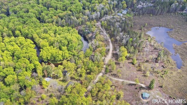 4553 S Paradise Rd, Merritt, MI 49667 - aerial view of property and surrounding area featuring a large body of water and a heavily wooded area