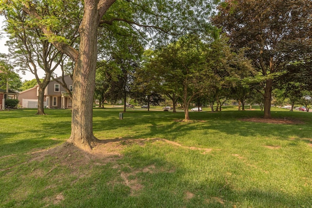 2705 Winthrop Ct, Ann Arbor, MI 48104 - view of grassy yard