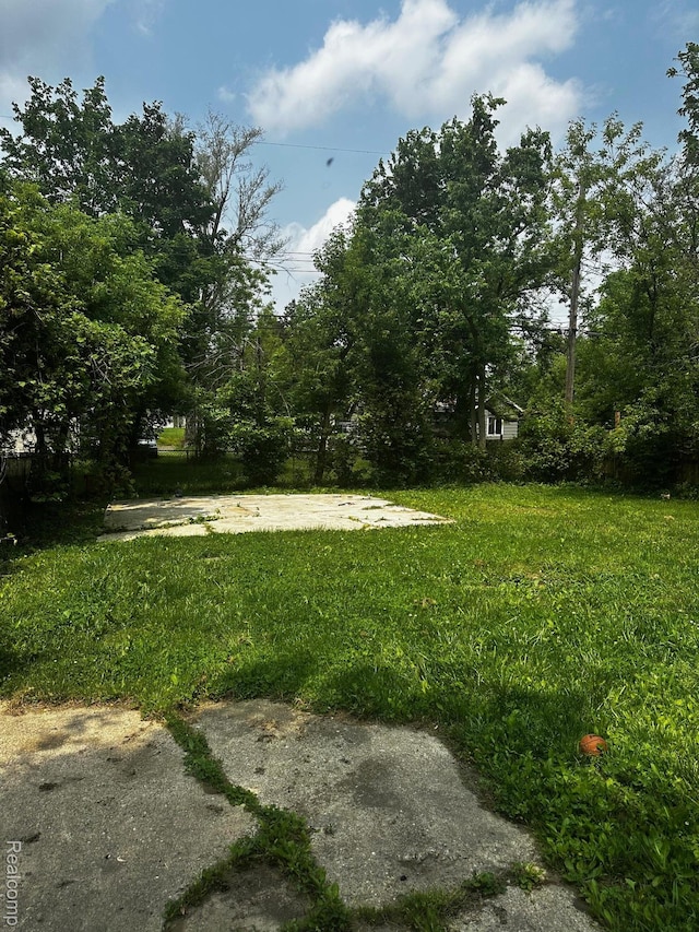 811 Robinwood St, Pontiac, MI 48340 - view of yard