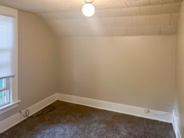 611 E Mount Hope Ave, Lansing, MI 48910 - additional living space featuring dark colored carpet, lofted ceiling, and baseboards