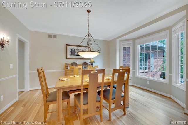520 Iroquois Ct, Oxford, MI 48371 - photo 19