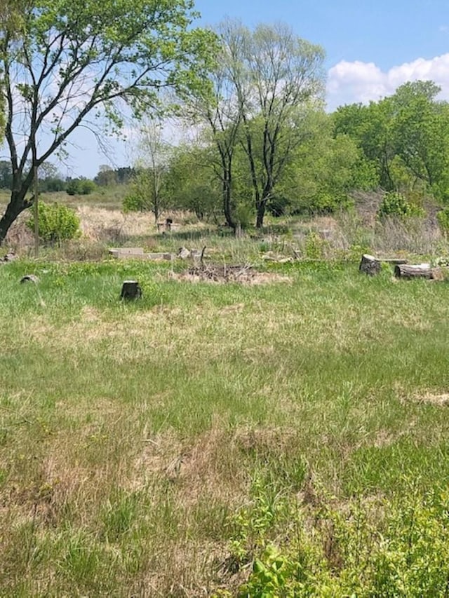 5229 Sage Lake Rd, Prescott, MI 48756
