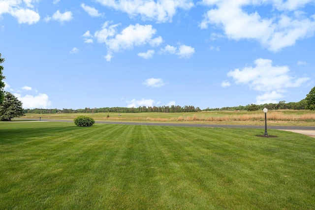 565 Hawksnest Dr, South Haven, MI 49090 - view of property's community with a yard and a rural view