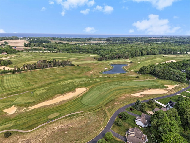 565 Hawksnest Dr, South Haven, MI 49090 - bird's eye view of a large body of water and a golf club