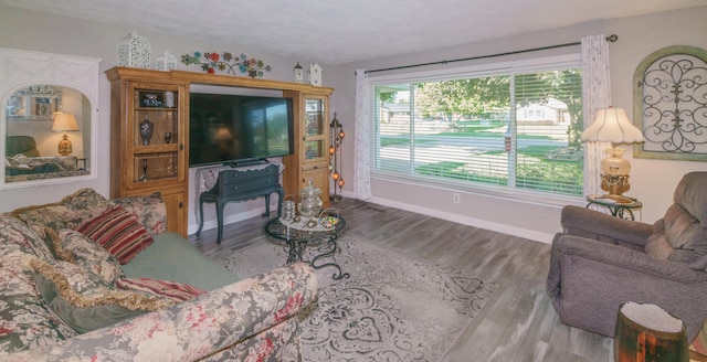 4143 Browning Dr, Saint Joseph, MI 49085 - living area featuring baseboards and wood finished floors