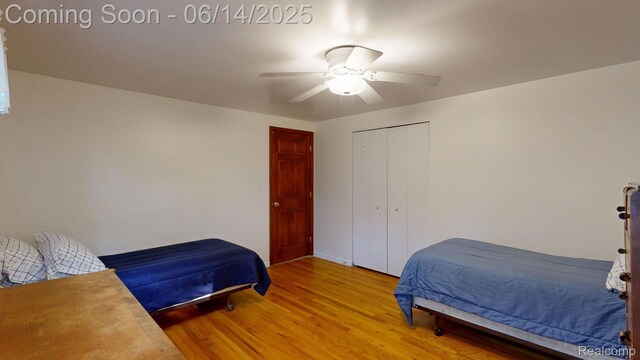 6624 Wellesley Ter, Clarkston, MI 48346 - bedroom featuring light wood-style floors, ceiling fan, and a closet