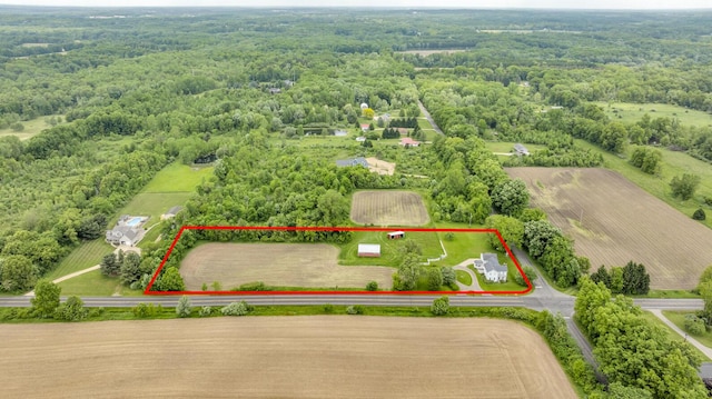 6750 County Farm Rd, Jackson, MI 49201 - photo 2
