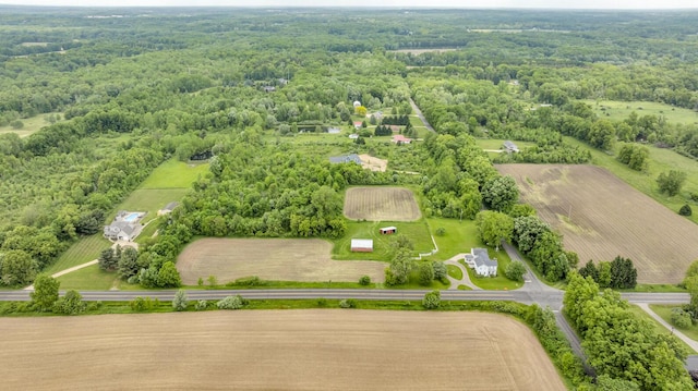 6750 County Farm Rd, Jackson, MI 49201 - photo 44