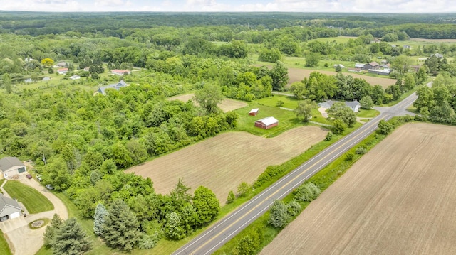 6750 County Farm Rd, Jackson, MI 49201 - photo 52