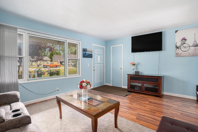 81 Dunton Ave, Holland, MI 49424 - living room with baseboards and wood finished floors